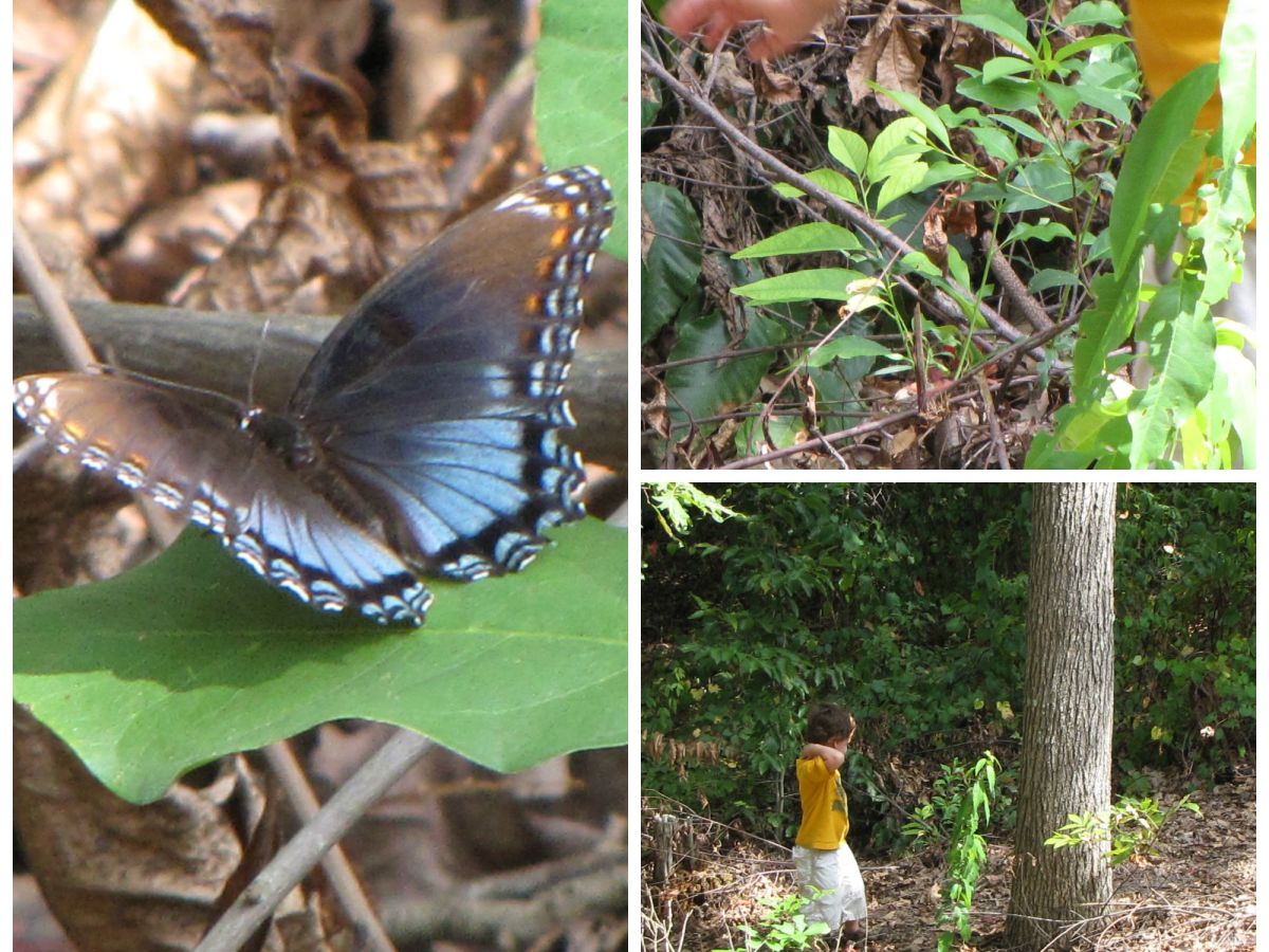 Home Education for Public Schoolers